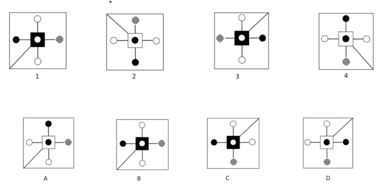 CCAT-style spatial and abstract reasoning question showing a series of shapes